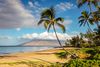 A palm tree curving out into the middle of the frame with the beach and a mountain with clouds in the background on a sunny day.