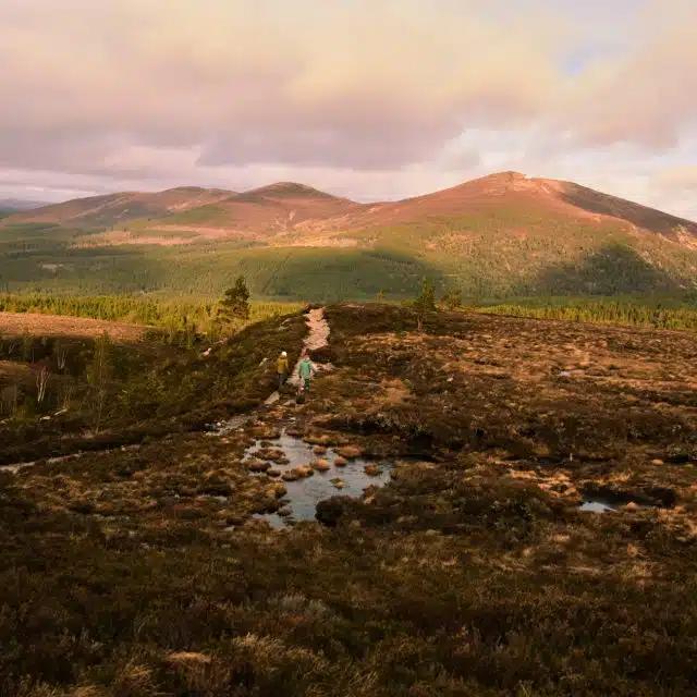 Ewan McGregor and his brother Colin McGregor hiking through the lush countryside of the Cairngorms, Scotland