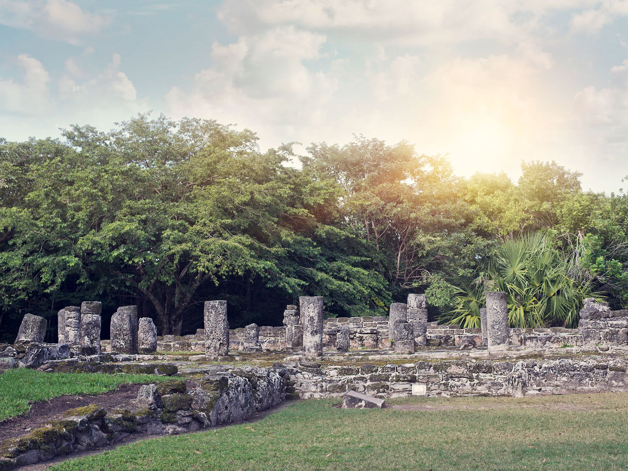 Stone pillars and other ruins amongst trees and other palms with the sun shining behind the trees.