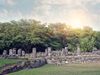 Stone pillars and other ruins amongst trees and other palms with the sun shining behind the trees.