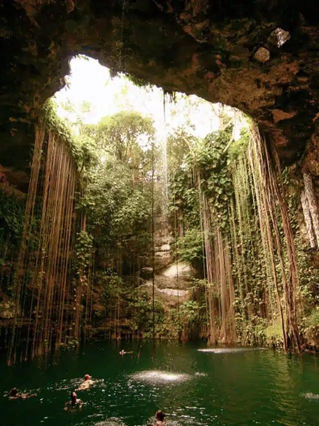 Sunlight pours through the lush, vine-covered opening onto the waters of Ik Kil cenote in Cancun, Mexico
