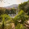 Palm trees and greenery surround the sun loungers at the Colony Palms Hotel in Palm Springs, California