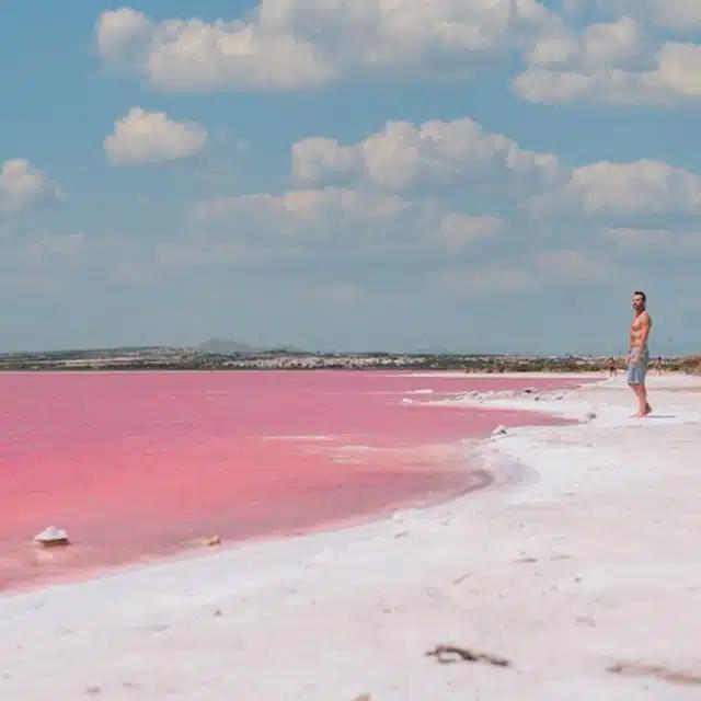 A person stands beside the pink lagoons in Mexico