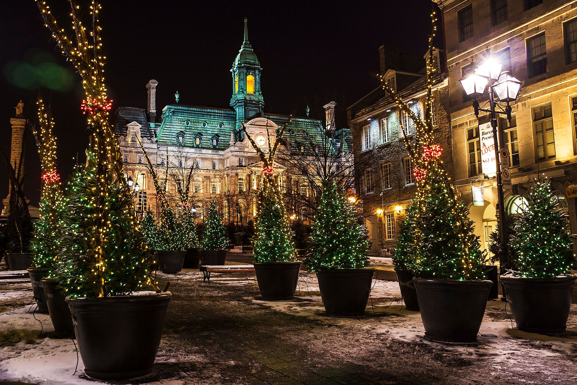 Trees lit up with Christmas lights in pots line a walking path up to a large building in the distance at night.