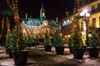 Trees lit up with Christmas lights in pots line a walking path up to a large building in the distance at night.