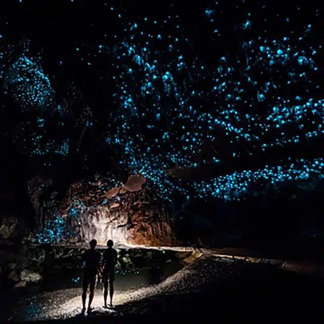 Two people stand under the illuminated ceiling of a glowworm cave in New Zealand