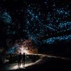 Two people stand under the illuminated ceiling of a glowworm cave in New Zealand