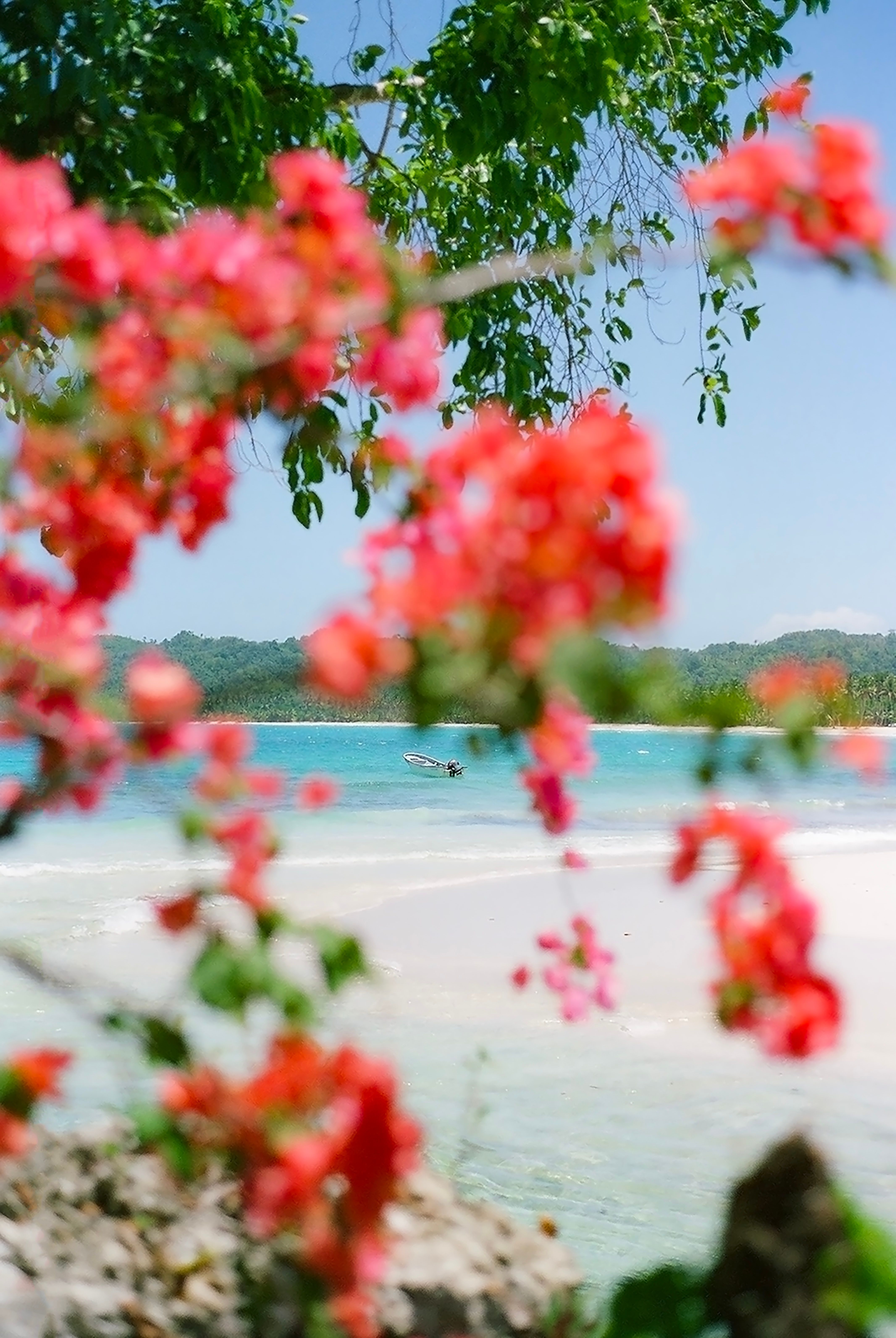 Dive into the natural wonders of the Dominican Republic | Expedia
