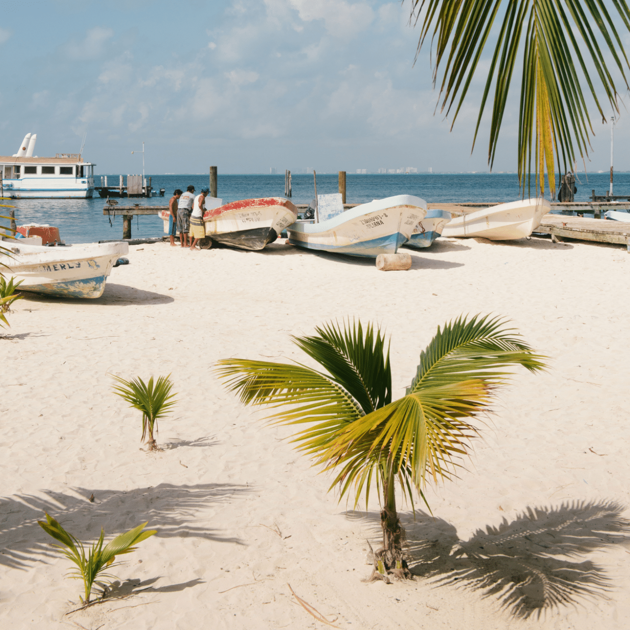 Palm trees and rowing boats are dotted around a beach in Cancun, Mexico