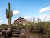 Camelback Mountain rises behind saguaro cacti and desert vegetation in Arizona.