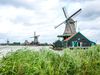 High grasses on waterfront and three large windmills.