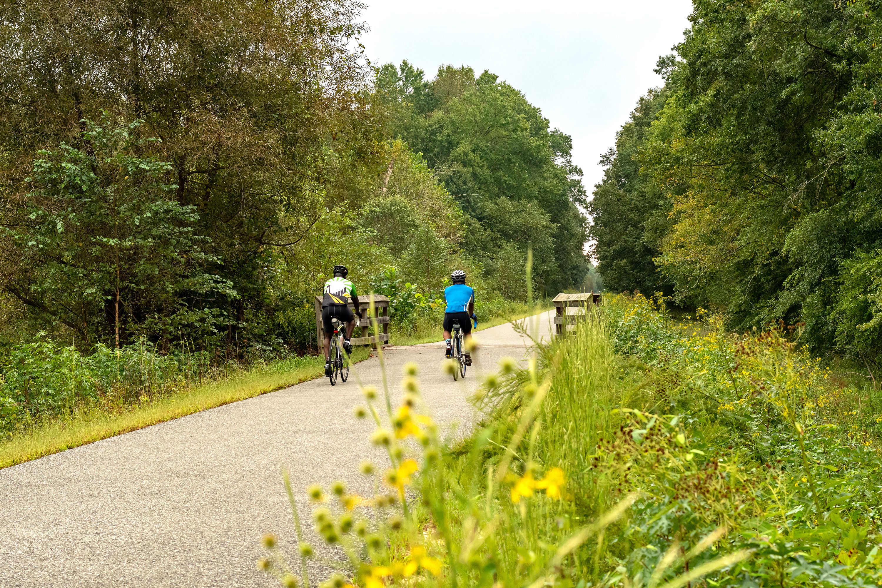 Wildflowers line a bike trail as two riders pass by.