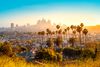 Los Angeles city skyline as seen from a hill.