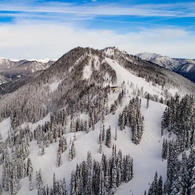 A snow-covered mountain scattered with tall trees beneath blue skies