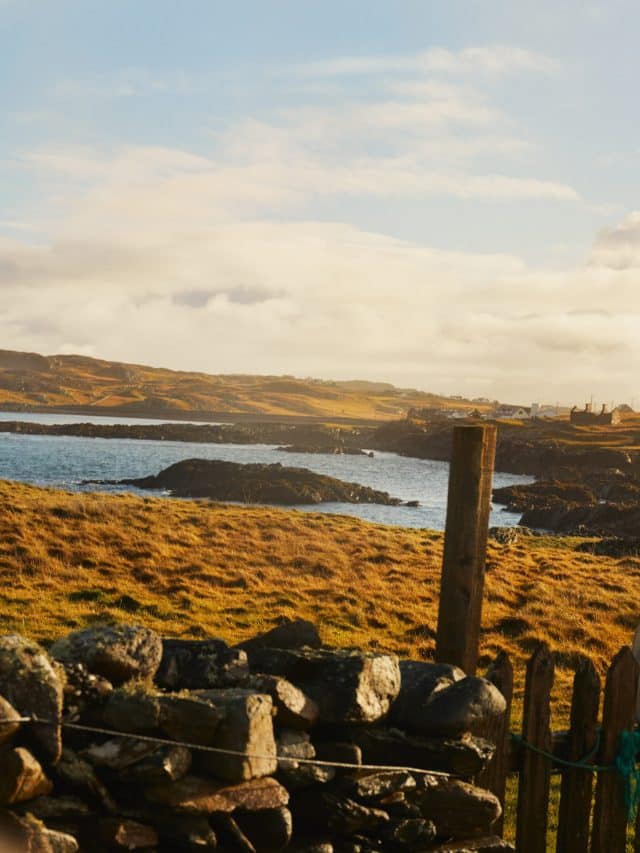 The russet grasses, rough stone walls and rugged coastline of Inishbofin, Ireland