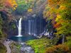 Red, orange and yellow-leaved coloured trees are seen above a waterfall which is bordered by moss-covered rocks