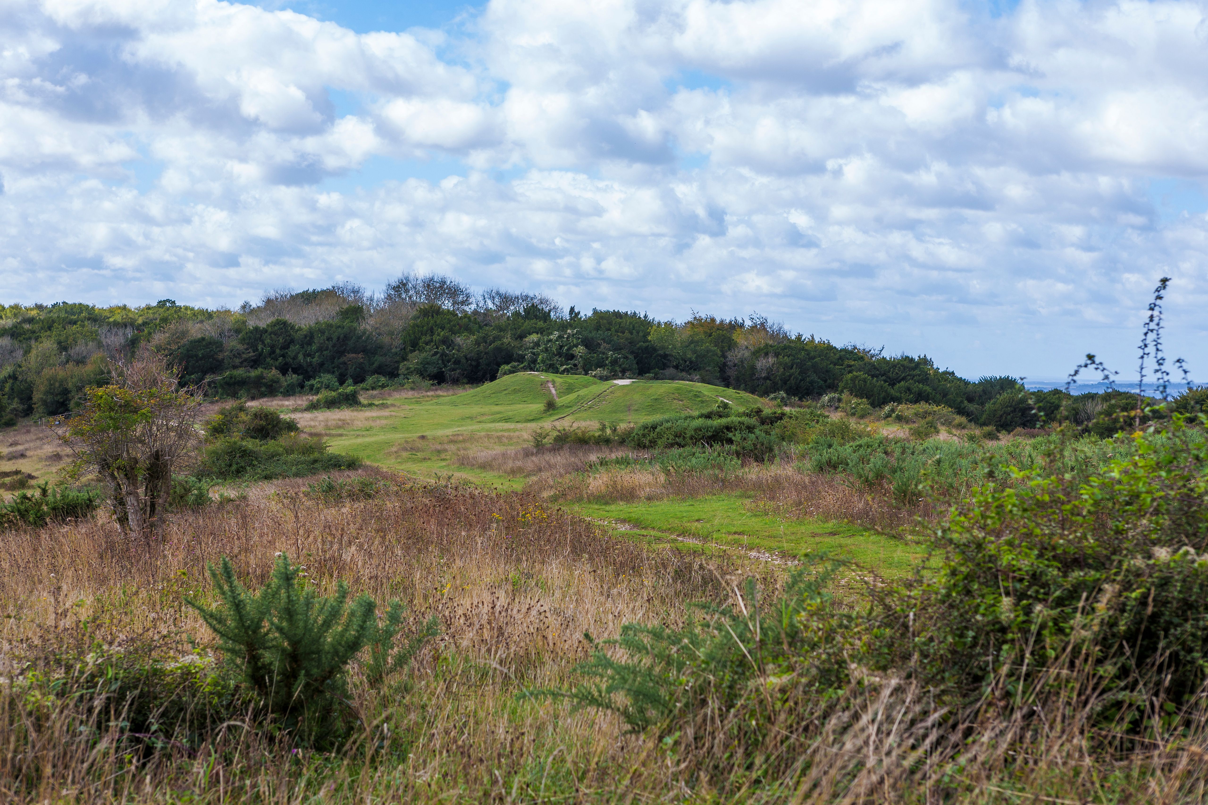 A one-lane dirt road between fences driving into rolling hills.