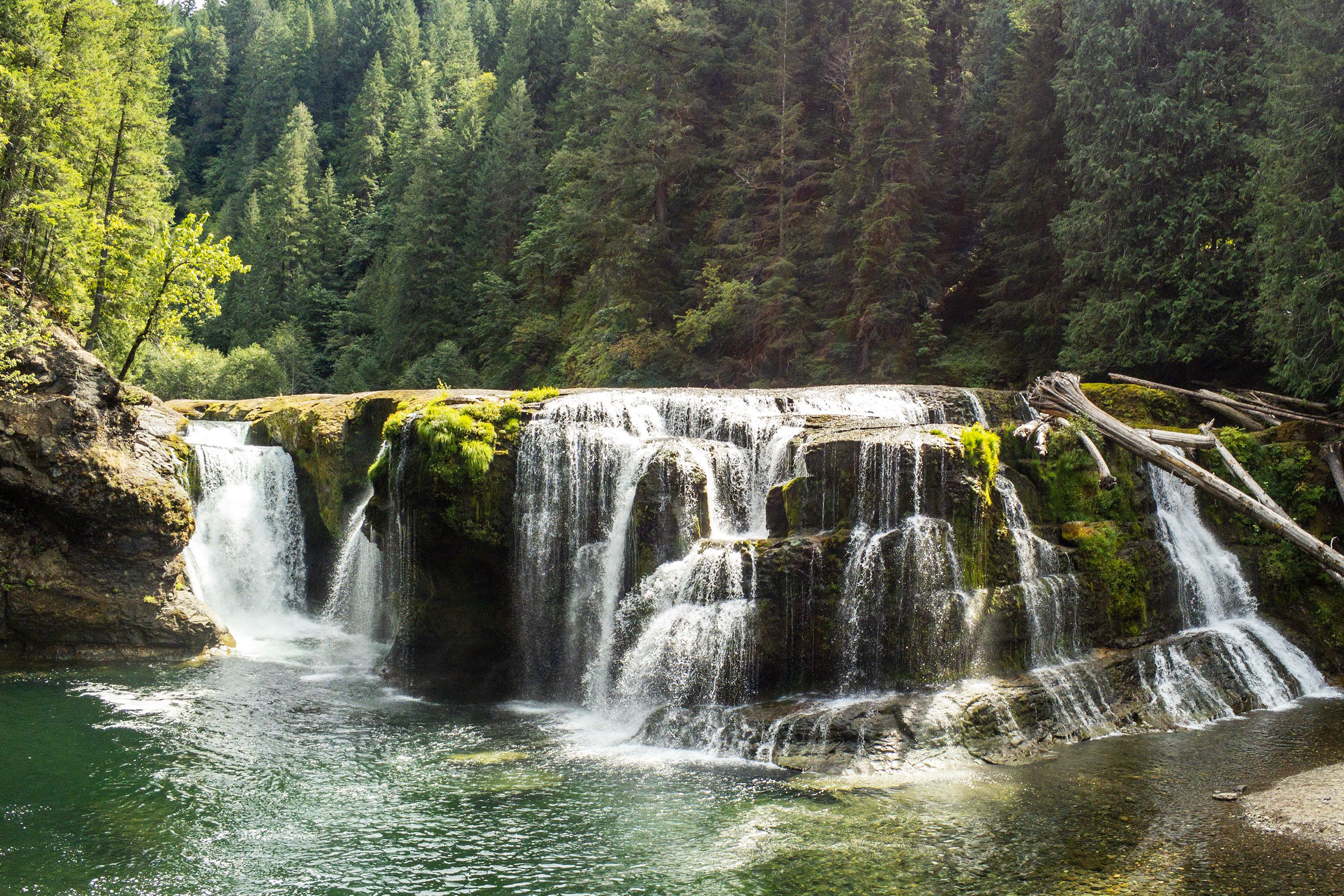 An above shot of Lower Lewis River Falls with multiple drops and white water flowing between tree-covered riverbanks in a dense green forest.