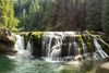 An above shot of Lower Lewis River Falls with multiple drops and white water flowing between tree-covered riverbanks in a dense green forest.