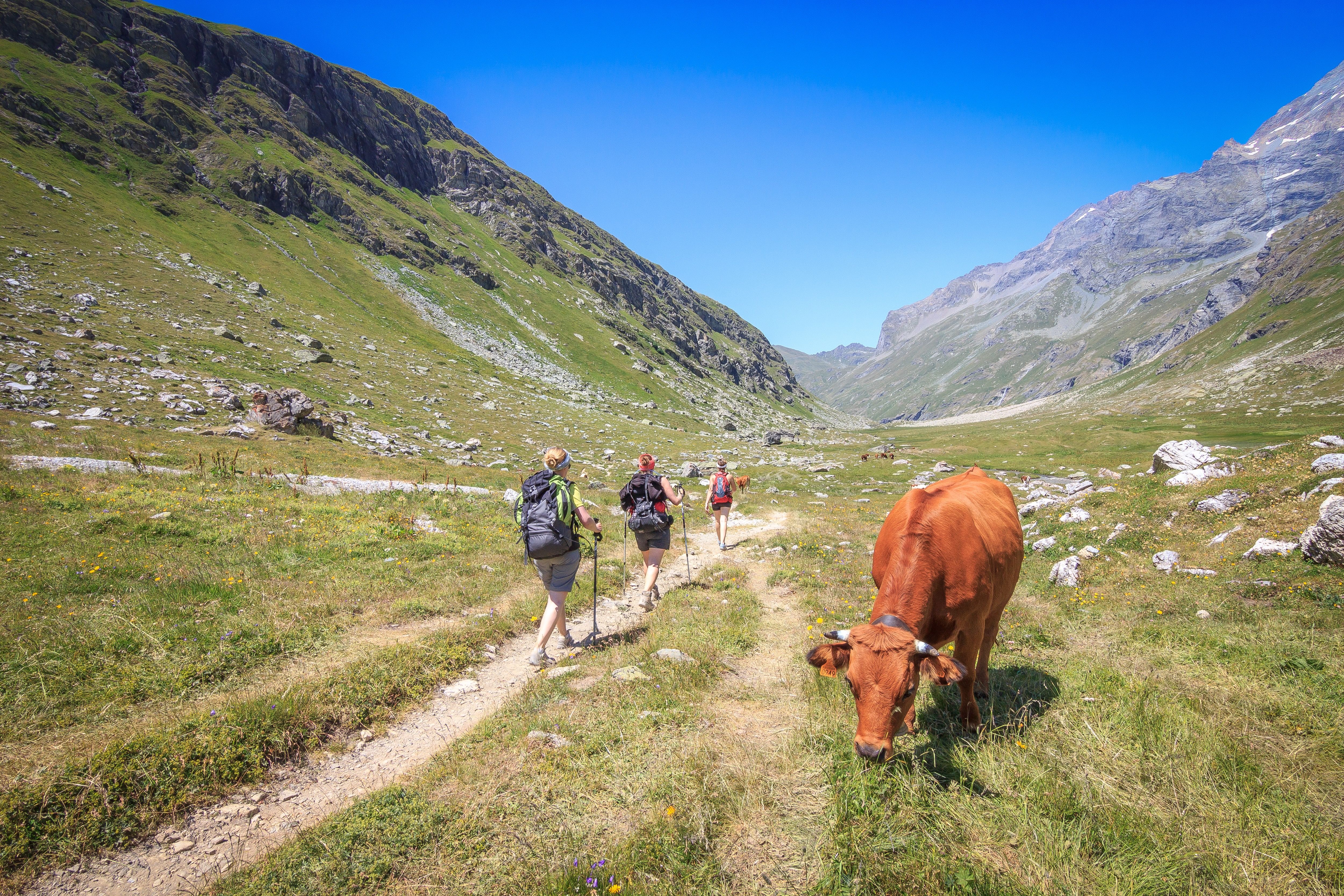 hiking in savoie