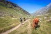 hiking in savoie