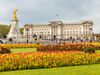 Flower garden in front of Buckingham Palace.