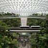 Water pours through an inverted glass dome roof and into a tree-filled atrium at Singapore Changi Airport
