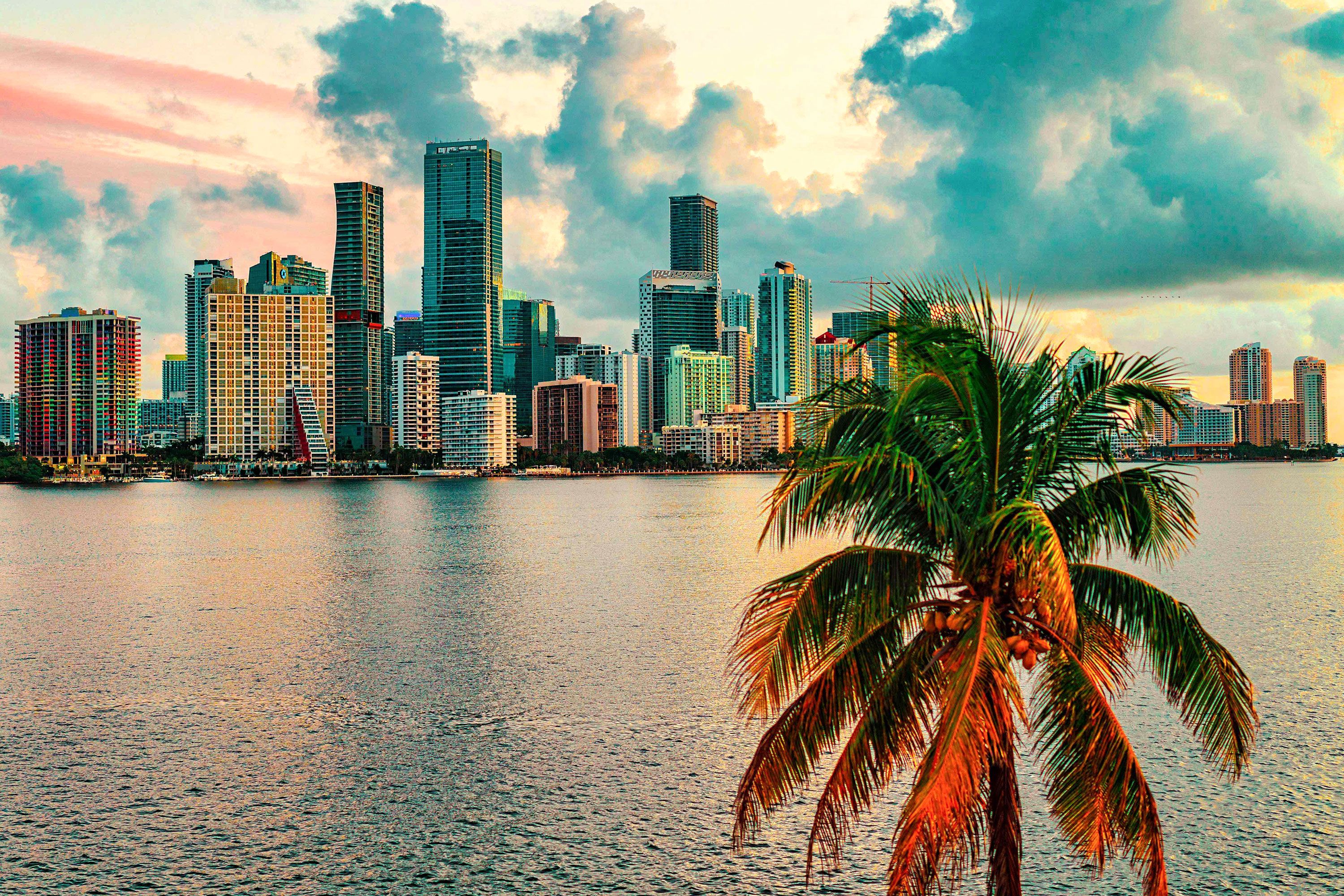 With a palm tree in the foreground and clouds in the sky a view over the water with the Miami skyline at sunrise in the background.