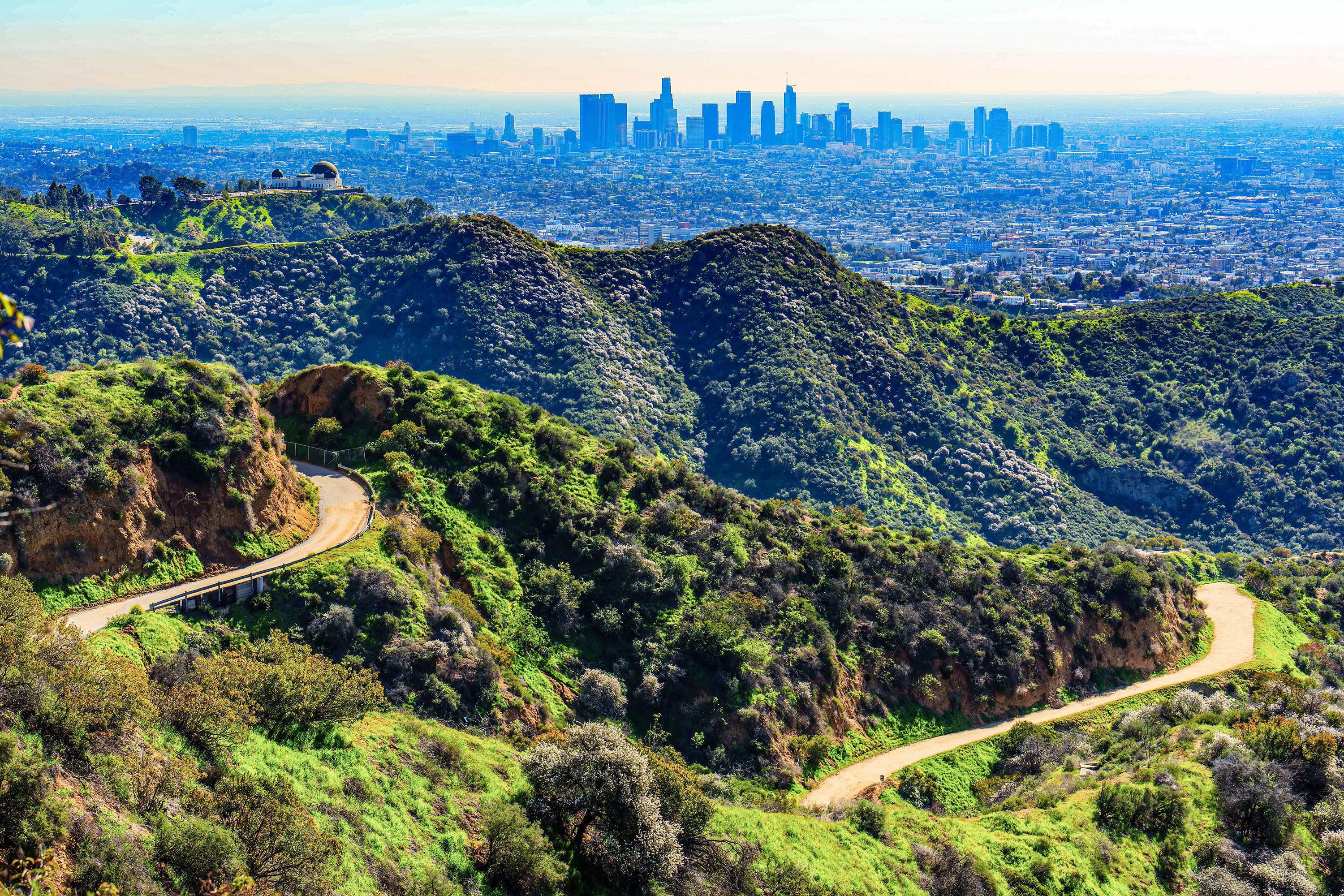 The iconic Griffith Observatory can be see amid the lush Hollywood Hills with Downtown Los Angeles in the background.