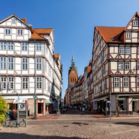 Hannover: Guided City Walk