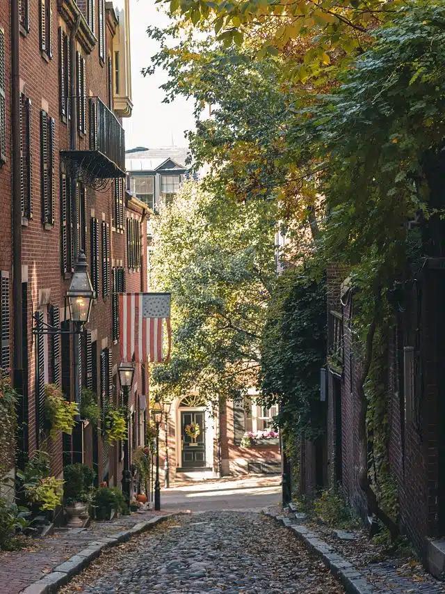 Sunlight hits the leaves of tall trees on Acorn Street, a cobbled alleyway lined with red-brick buildings in Boston, Massachusetts