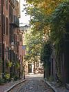 Sunlight hits the leaves of tall trees on Acorn Street, a cobbled alleyway lined with red-brick buildings in Boston, Massachusetts