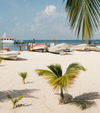 A white sand beach, palm trees, painted fishing boats and azure seas in Cancun, Mexico