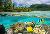 Below water view with fish and coral reef and above water view with palm trees and mountains in the distance in Polynesia.