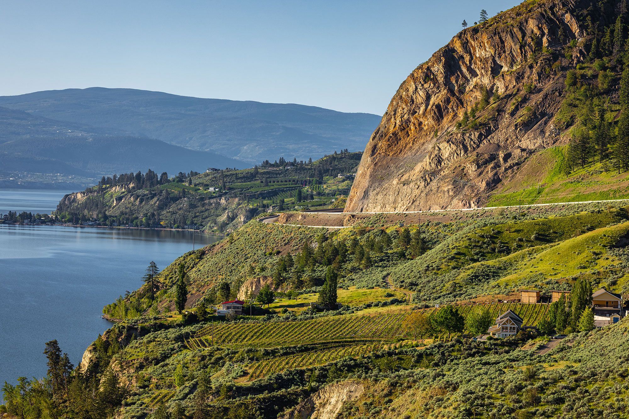 A view of Kelowna vineyards surrounding Lake Okanagan in the Okanagan Valley in British Columbia.  