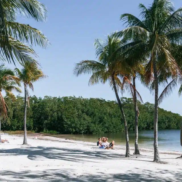 Two people sit on the beach between palm trees at John Pennekamp Coral Reef State Park, Florida
