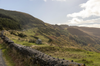 Small-group Wicklow, Powerscourt, and Glendalough day tour
