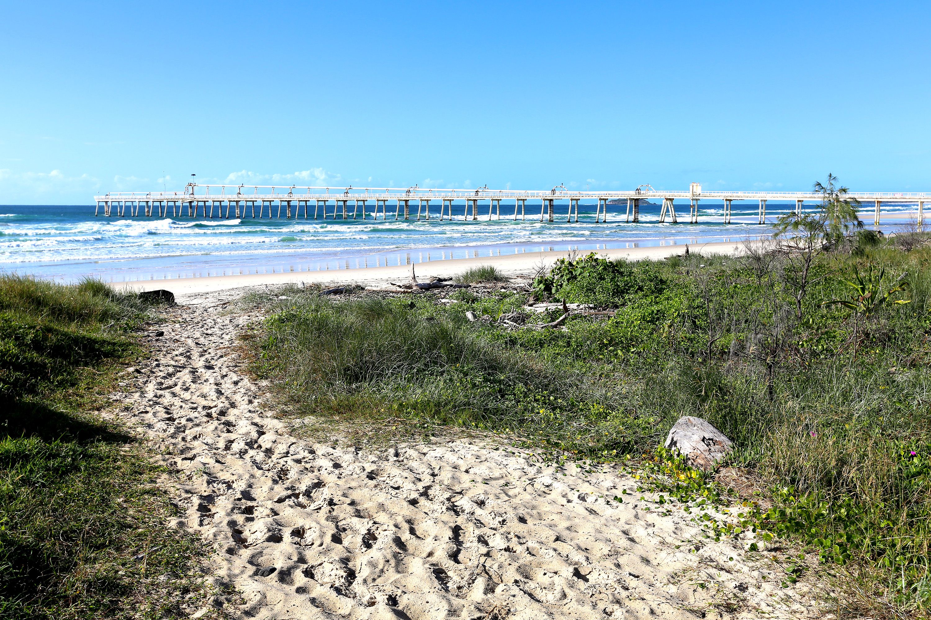 Sandy path surrounded by grasses leading to beach and ocean.