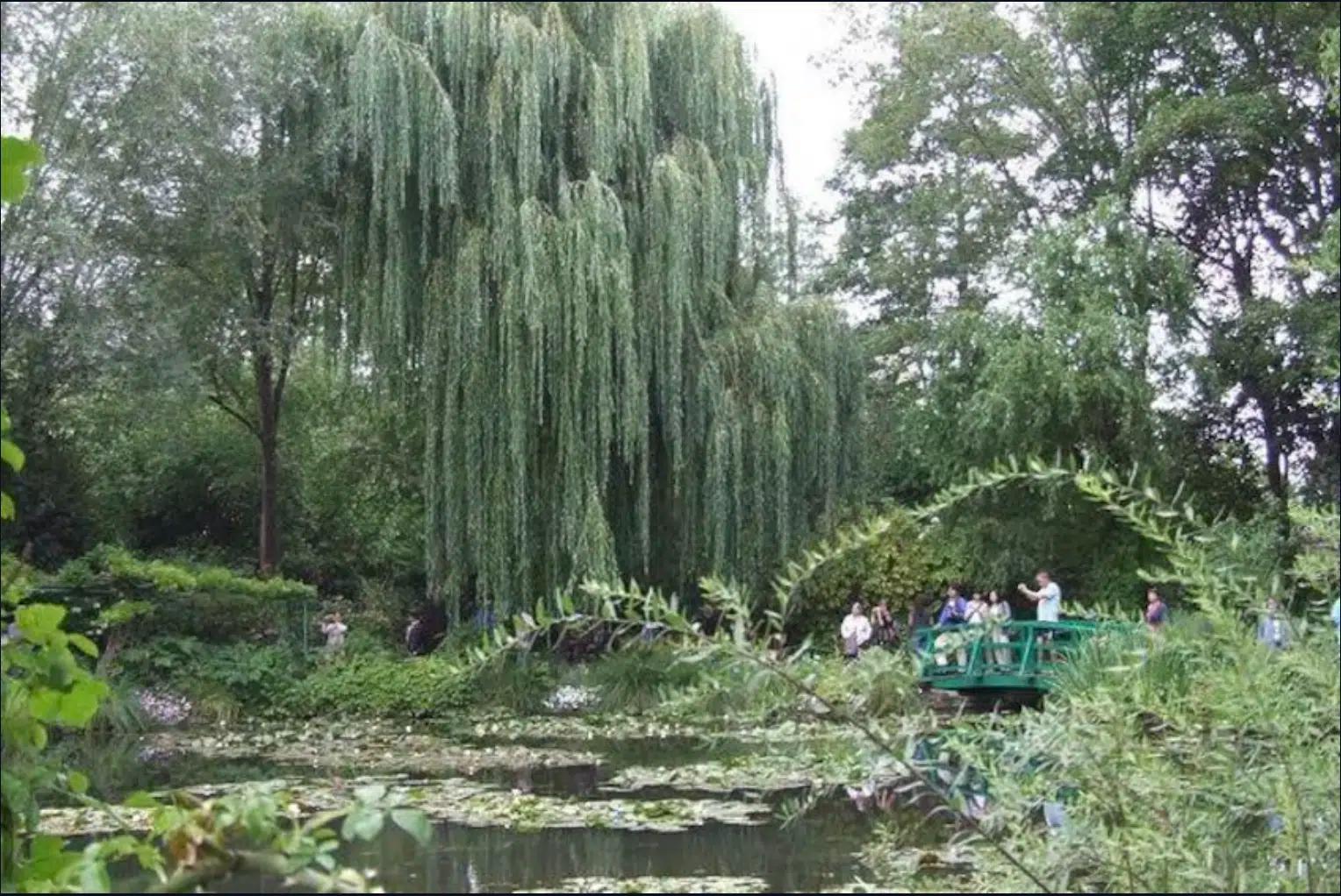 Destination card image