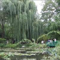 Destination card image