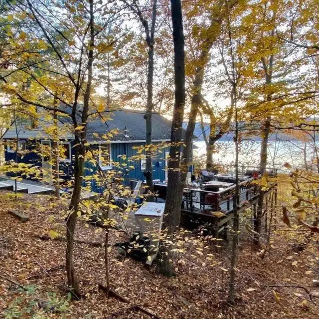 A woodland cabin surrounded by trees, Canandaigua Lake, NY