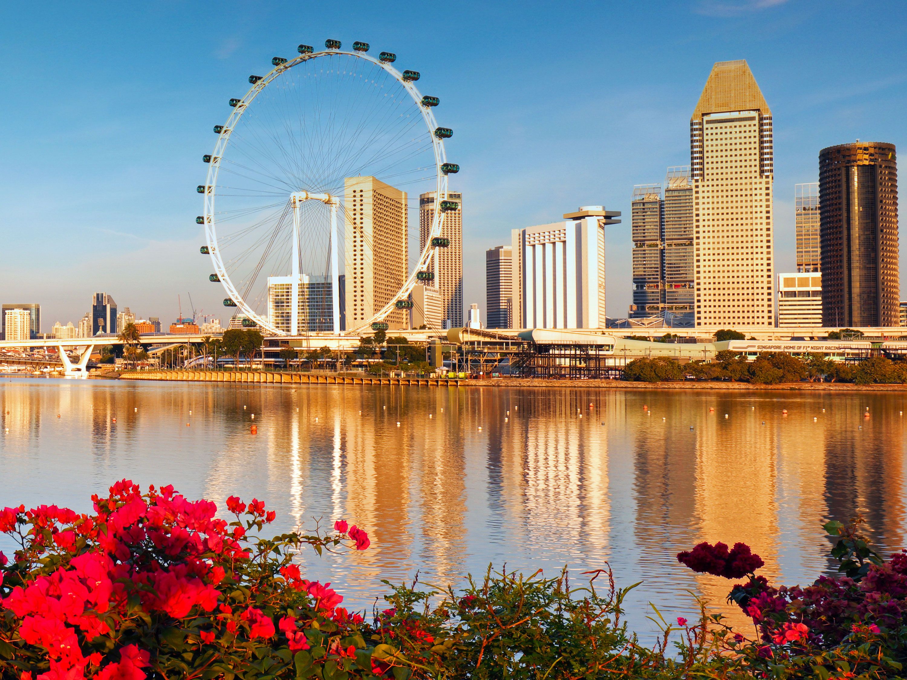 The Singapore skyline and Singapore Flyer reflected in calm waterfront with colorful flowers.