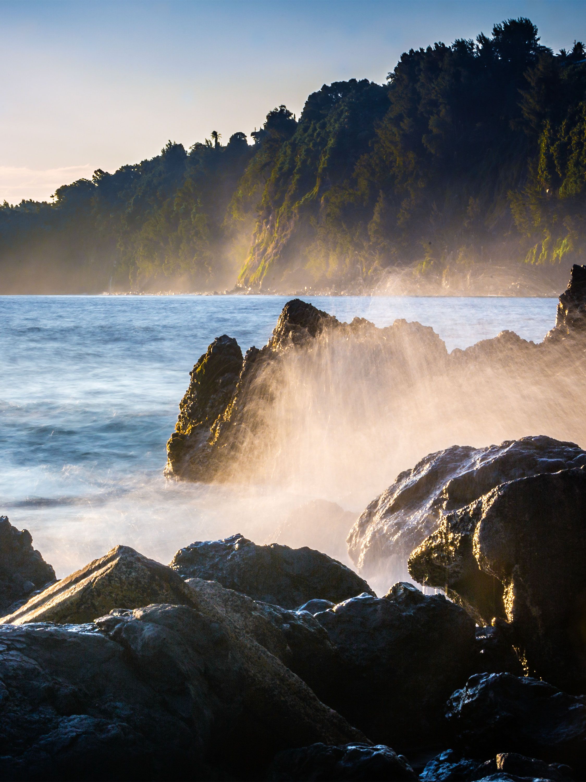 Waves crash against rocky shoreline below lush, misty coastal cliffs.