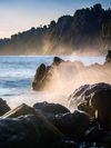 Waves crash against rocky shoreline below lush, misty coastal cliffs.