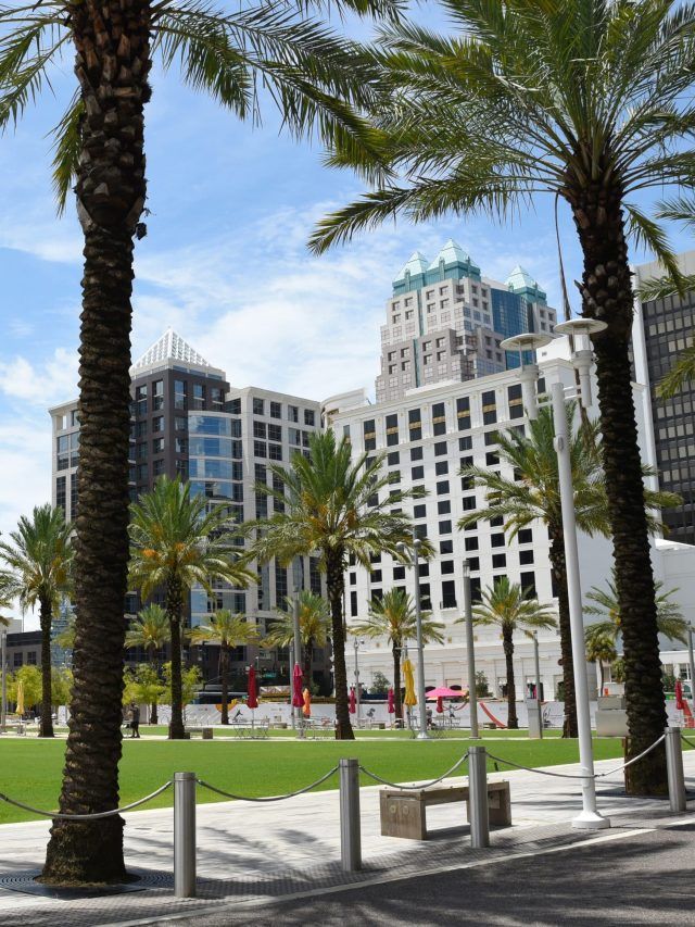 Palm trees, green open spaces and tall buildings in Downtown Orlando