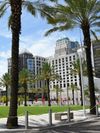 Palm trees, green open spaces and tall buildings in Downtown Orlando