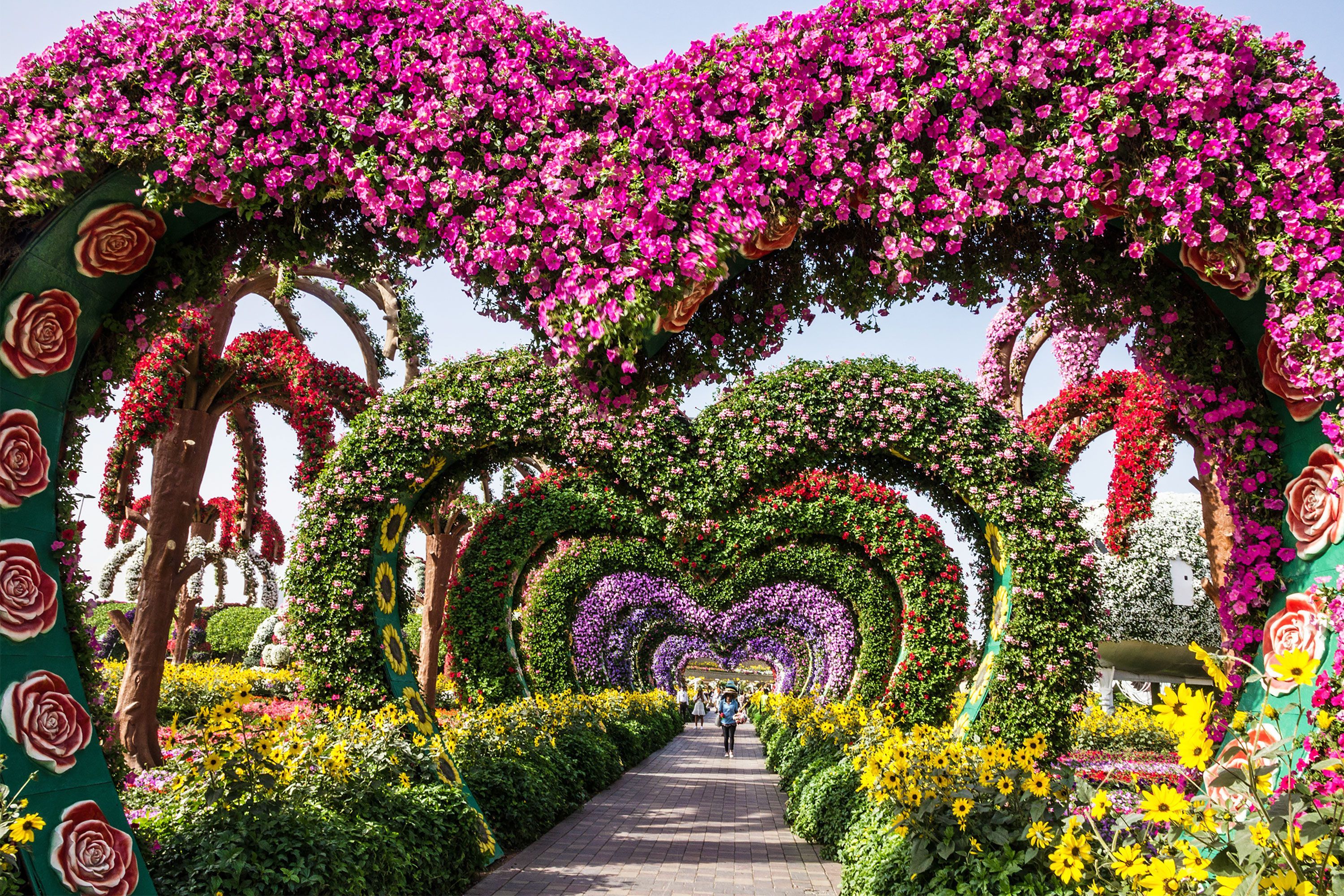 Large heart-shaped frames covered in vibrant flowers standing in floral beds at Miracle Garden in Dubai under a clear sky.