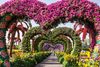 Large heart-shaped frames covered in vibrant flowers standing in floral beds at Miracle Garden in Dubai under a clear sky.