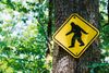 A yellow sign in a forest with an image of bigfoot with trees and greenery in the background.