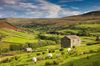 Sheep grazing in a field with an old stone house among rolling hills in Yorkshire Dales National Park.
